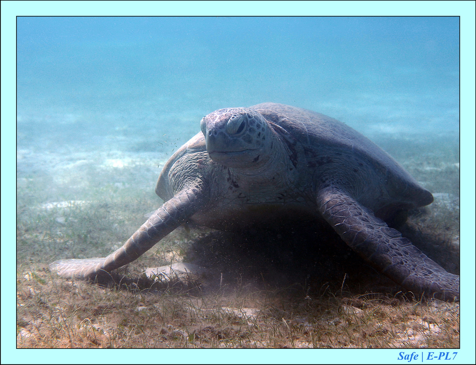 2016 - 07 - Leng Tengah - 092